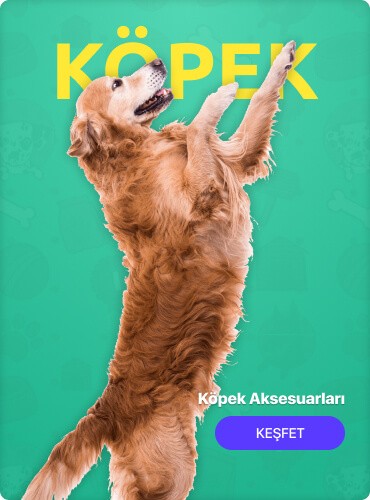 Köpek Aksesuarları