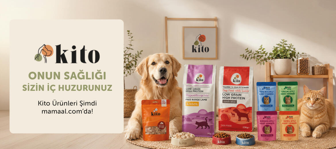 kito