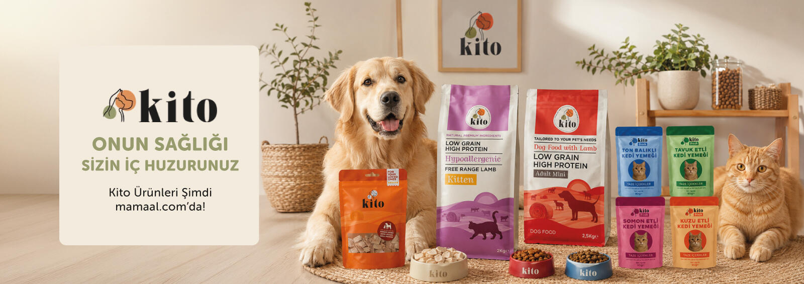 Kito