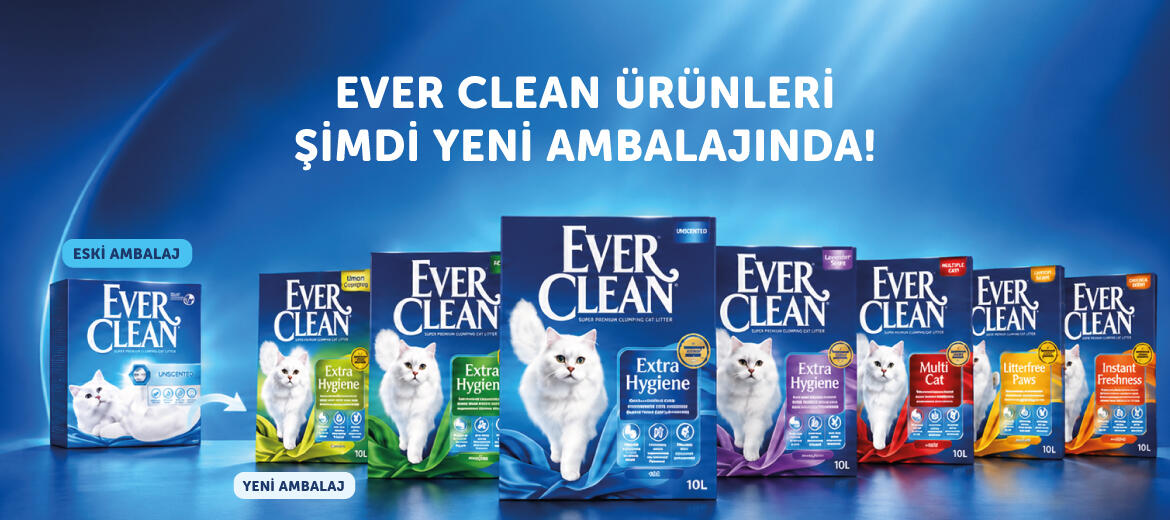 Ever Clean