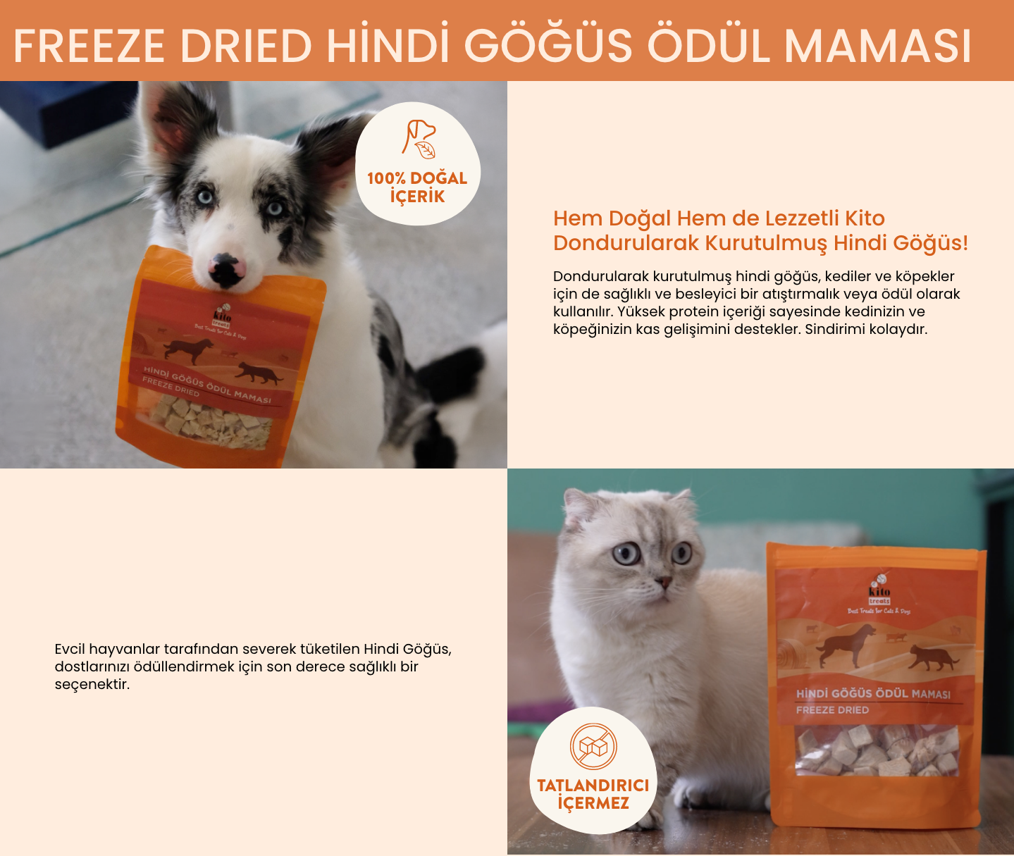 Hindigogus-odul-maması.png