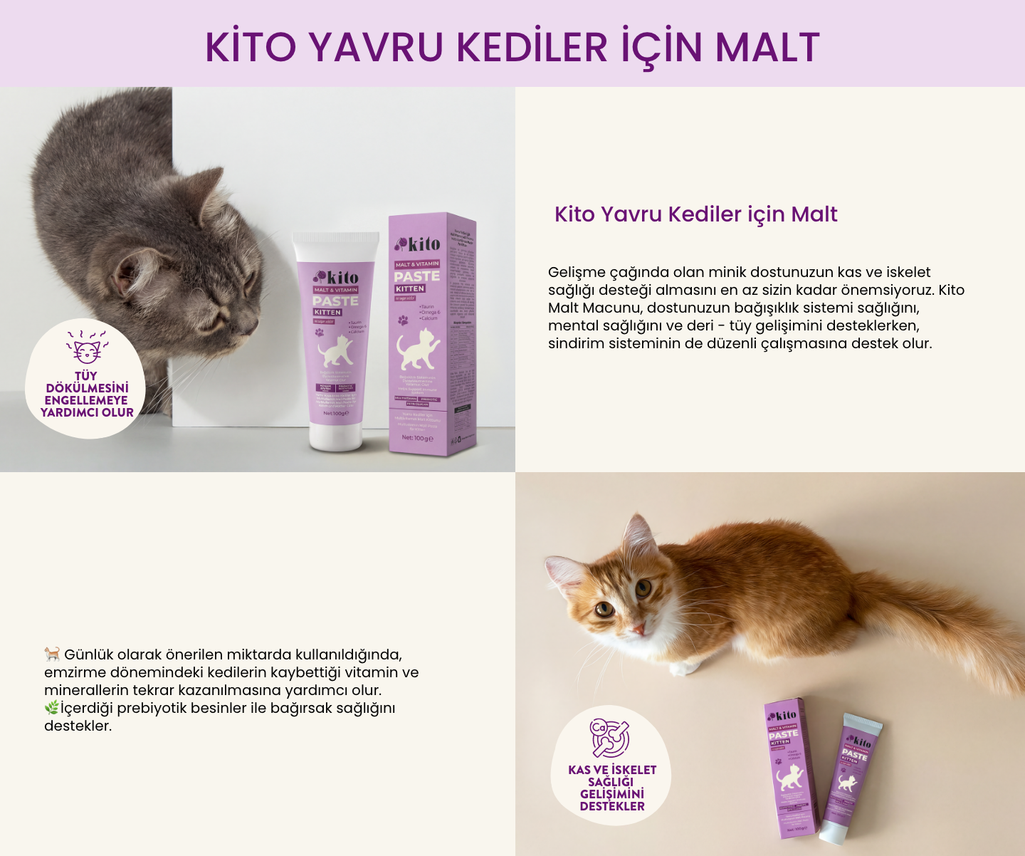 Yavru-kediler-icin-malt.png