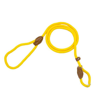 Ally Paws Gezdirme Sevk Kayışı Large 12 Mm 150 Cm - 1