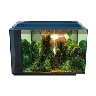 Anubias Corydoras 55 Nano Akvaryum Siyah 55,5x29,5x32 Cm - 1