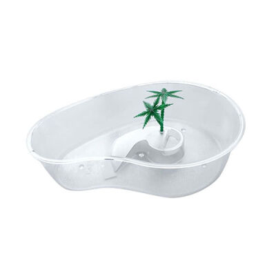 Aquawave Küçük Kaplumbağa Bahçesi - 2