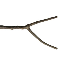 Beaks Kuşlar İçin Doğal Tünek M 27,5 Cm - Beaks