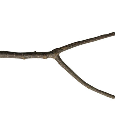 Beaks Kuşlar İçin Doğal Tünek M 27,5 Cm - 1
