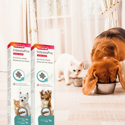 Beaphar Sindirim Destekleyici Kedi ve Köpek Macunu 20 Ml - 3
