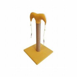 Bedspet İnce Kedi Tırmalama Tahtası 50 Cm Sarı - Bedspet