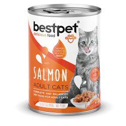 BestPet Parça Etli Somon Balıklı Yetişkin Kedi Konservesi 24 Adet 400 Gr - Bestpet