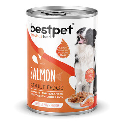 BestPet Parça Etli Somon Etli Yetişkin Köpek Konservesi 24 Adet 400 Gr - Bestpet