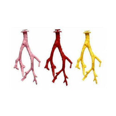 Birdlife Dal Kuş Tüneği - 1