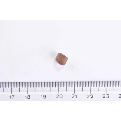 Brit Care Gentle Digestion & Strong Immunity Somonlu Tahılsız Yavru Kedi Maması 7 Kg - 3