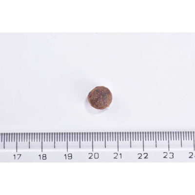 Brit Care Sensitive Hipoalerjenik Larva Proteinli Tahılsız Yetişkin Kedi Maması 2 Kg - 2