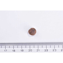 Brit Care Sensitive Hipoalerjenik Larva Proteinli Tahılsız Yetişkin Kedi Maması 7 Kg - 2