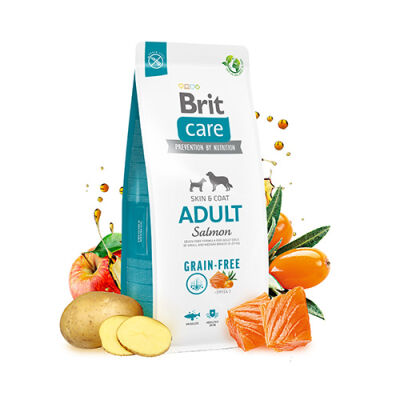 Brit Care Skin Coat Somonlu Tahılsız Yetişkin Köpek Maması 12 Kg - 1
