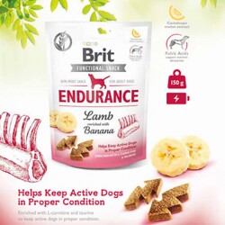 Brit Endurance Kuzu Etli ve Muzlu Köpek Ödülü 150 Gr - 2