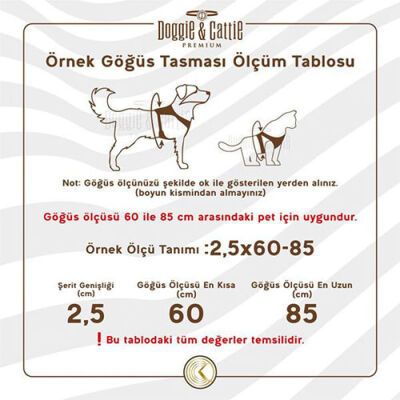 Cattie Havalı Dokuma Kedi Göğüs ve Gezdirme Tasması Medium Kamuflaj 1x25-35 Cm - 3