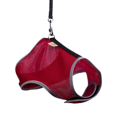 Cattie Havalı Dokuma Kedi Göğüs ve Gezdirme Tasması Medium Kırmızı 1x25-35 Cm - 2