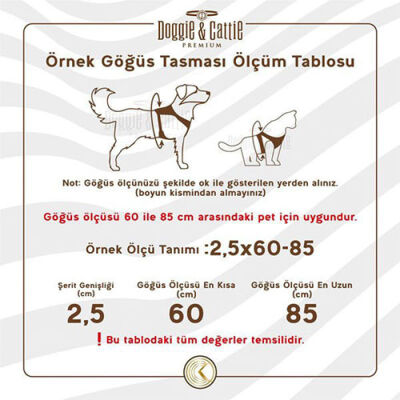 Cattie Havalı Dokuma Kedi Göğüs ve Gezdirme Tasması Medium Turuncu 1x25-35 Cm - 3