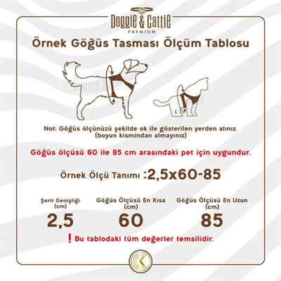 Cattie Kedi Göğüs ve Gezdirme Tasma Takımı Kırmızı 1x25-40 Cm - 2