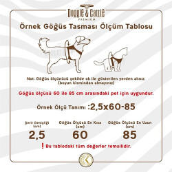 Cattie Kedi Göğüs ve Gezdirme Tasma Takımı Kırmızı 1x25-40 Cm - 2