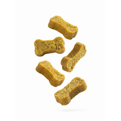 Chewzy Balıklı Yumuşak Köpek Ödül Maması 130 g - 2