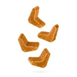 Chewzy Prebiyotikli Yumuşak Kedi Ödül Maması 130 g - 2