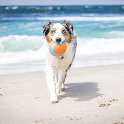 Chuckit! Amphibious Yüzebilen Köpek Oyun Topu 12 Cm - 3