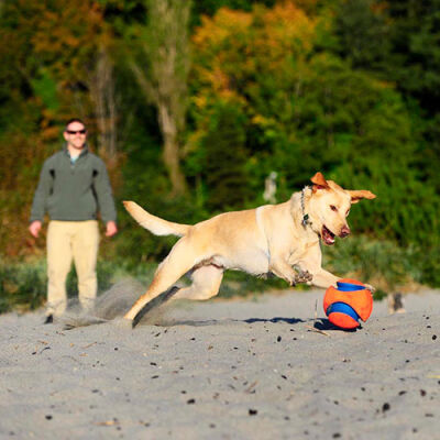 Chuckit! Kick Fetch Köpek Oyun Topu Büyük Boy 20 Cm - 3