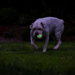 Chuckit! Max Glow Air Fetch Gece Parlayan Köpek Oyun Topu Orta Boy 6,5 Cm - 3