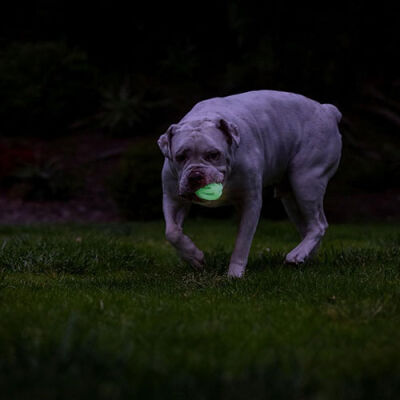 Chuckit! Max Glow Air Fetch Gece Parlayan Köpek Oyun Topu Orta Boy 6,5 Cm - 3