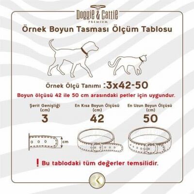 Doggie Boğma Zincir Köpek Eğitim Tasması 3,5x50 60 Cm - 3