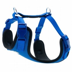 Doggie Havalı Ped Dokuma Köpek Göğüs Tasması Royalblue 1,5x40-50 Cm - Doggie