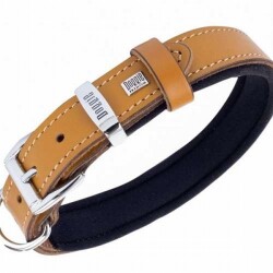 Doggie Konfor Deri Köpek Boyun Tasması Camel 2,5x37 45 Cm - 2