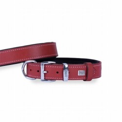 Doggie Konfor Deri Köpek Boyun Tasması Kırmızı 2,5x37 45 Cm - Doggie
