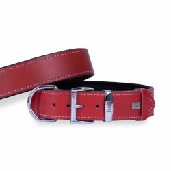 Doggie Konfor Deri Köpek Boyun Tasması Kırmızı 4x52 60 Cm - Doggie