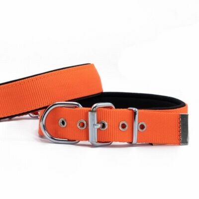 Doggie Konfor Dokuma Köpek Boyun Tasması Turuncu 2,5x37 45 Cm - 1