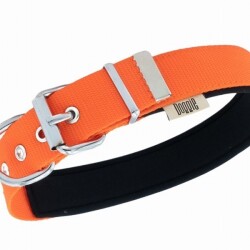 Doggie Konfor Dokuma Köpek Boyun Tasması Turuncu 3x42 50 Cm - 2