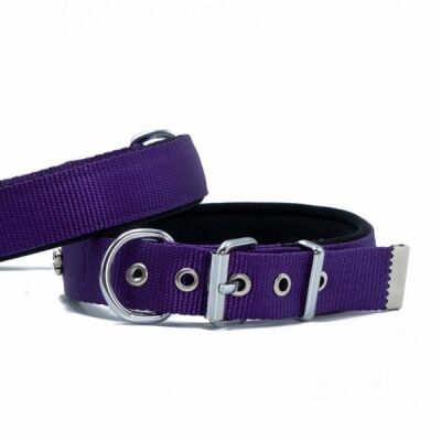 Doggie Konfor Dokuma Sade Köpek Boyun Tasması Mor 2,5x37 45 Cm - 1