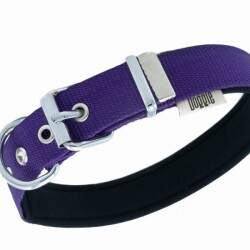 Doggie Konfor Dokuma Sade Köpek Boyun Tasması Mor 2,5x37 45 Cm - 2