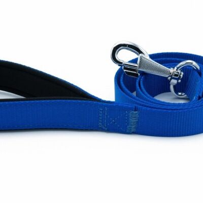 Doggie Konfor Klasik Dokuma Köpek Gezdirme Tasması Royalblue 2,5x120 Cm - 3