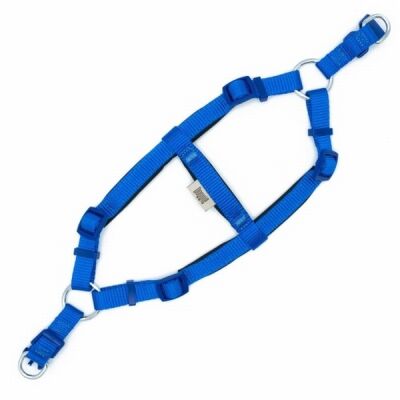 Doggie Konfor Ronin Dokuma Köpek Göğüs Tasması Royalblue 1,5x35-40 Cm - 2