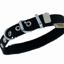 Doggie Polar Pedli Sade Dokuma Köpek Boyun Tasması Siyah 1,5x25-30 Cm - 2