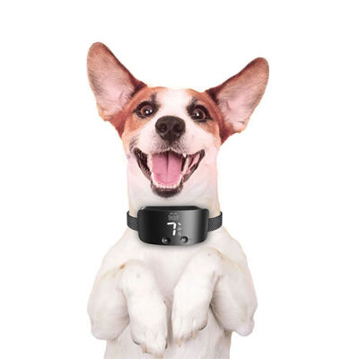 Doggie Premium Havlama Önleyici Köpek Eğitim Tasması Siyah - 3