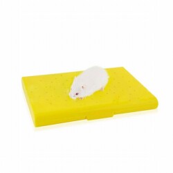 EuroGold Carno Soğutucu Buz Torbalı Hamster Yatağı 14x10x1 Cm - Eurogold