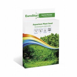 EuroStar Akvaryum Bitki Tohumu Glossostigma Elatinoides - EuroStar