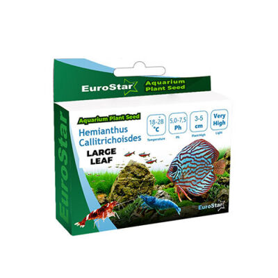 EuroStar Bitki Tohum Large Leaf Base Plant Akvaryum Bitki Tohumu - 1