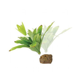 Exo Terra Büyük İpek Bromelia Plastik Teraryum Bitkisi - 2