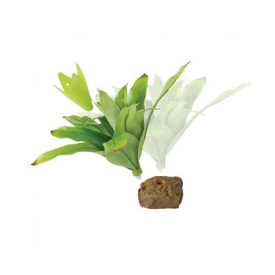 Exo Terra Küçük İpek Neoregelia Plastik Teraryum Bitkisi - 2